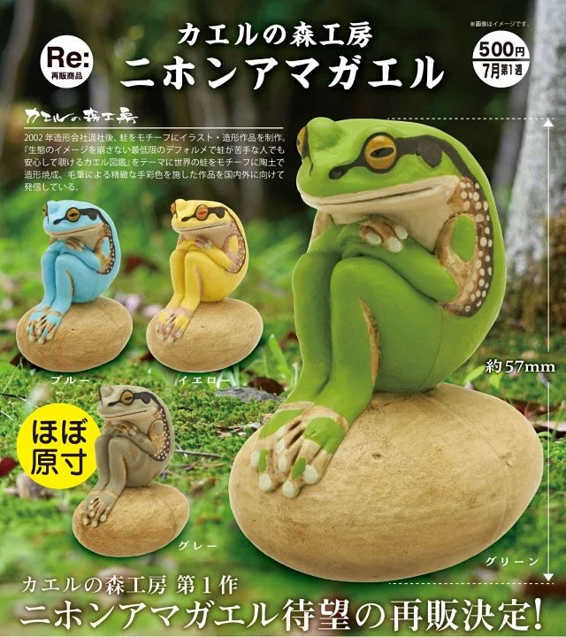 Kaeru ni Mori Kobo: Japanese Tree Frog Gacha Series