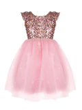 A Star is Born Sequins Dress