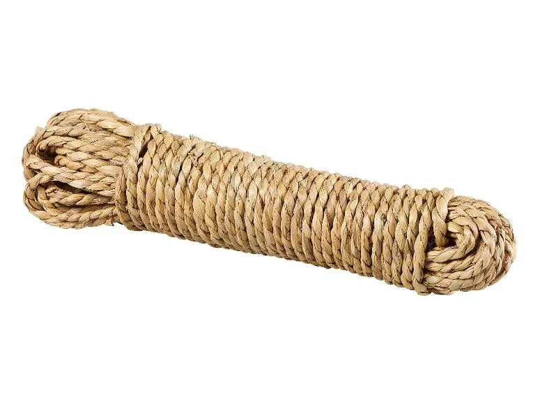 Cordon d'algues, 15 m